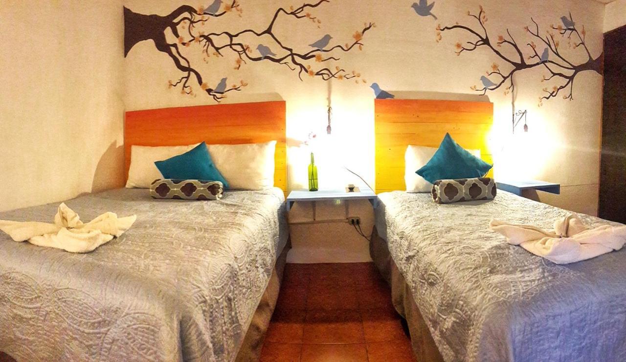 Hotel Y Arte Norte Antigua Dış mekan fotoğraf