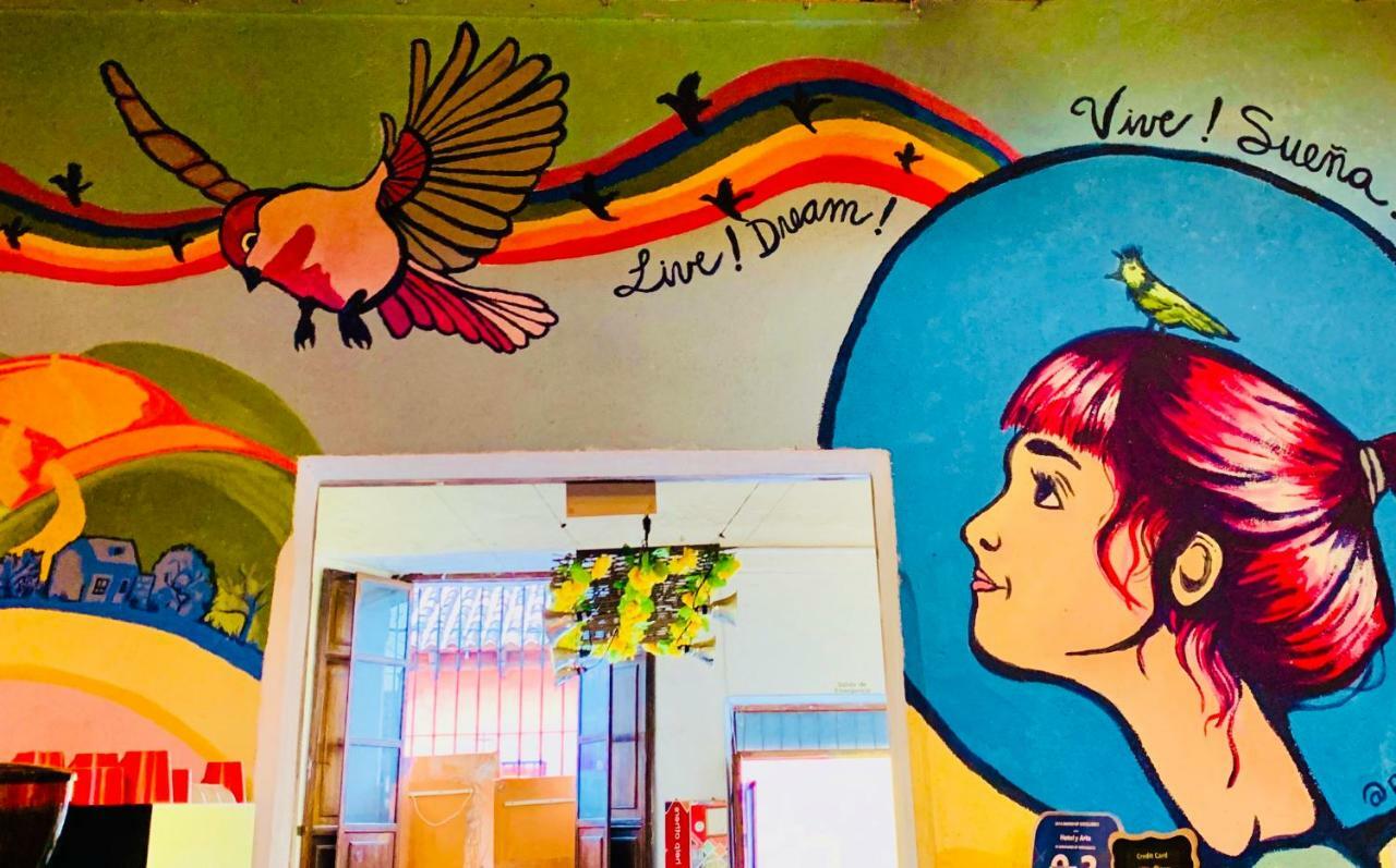 Hotel Y Arte Norte Antigua Dış mekan fotoğraf